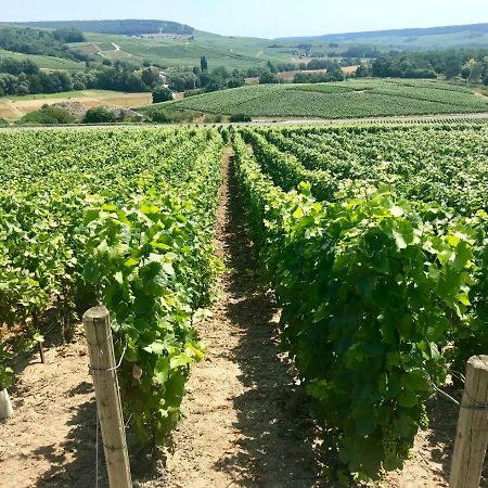 La Bulle De Champagne Διαμέρισμα Επερνέ Εξωτερικό φωτογραφία
