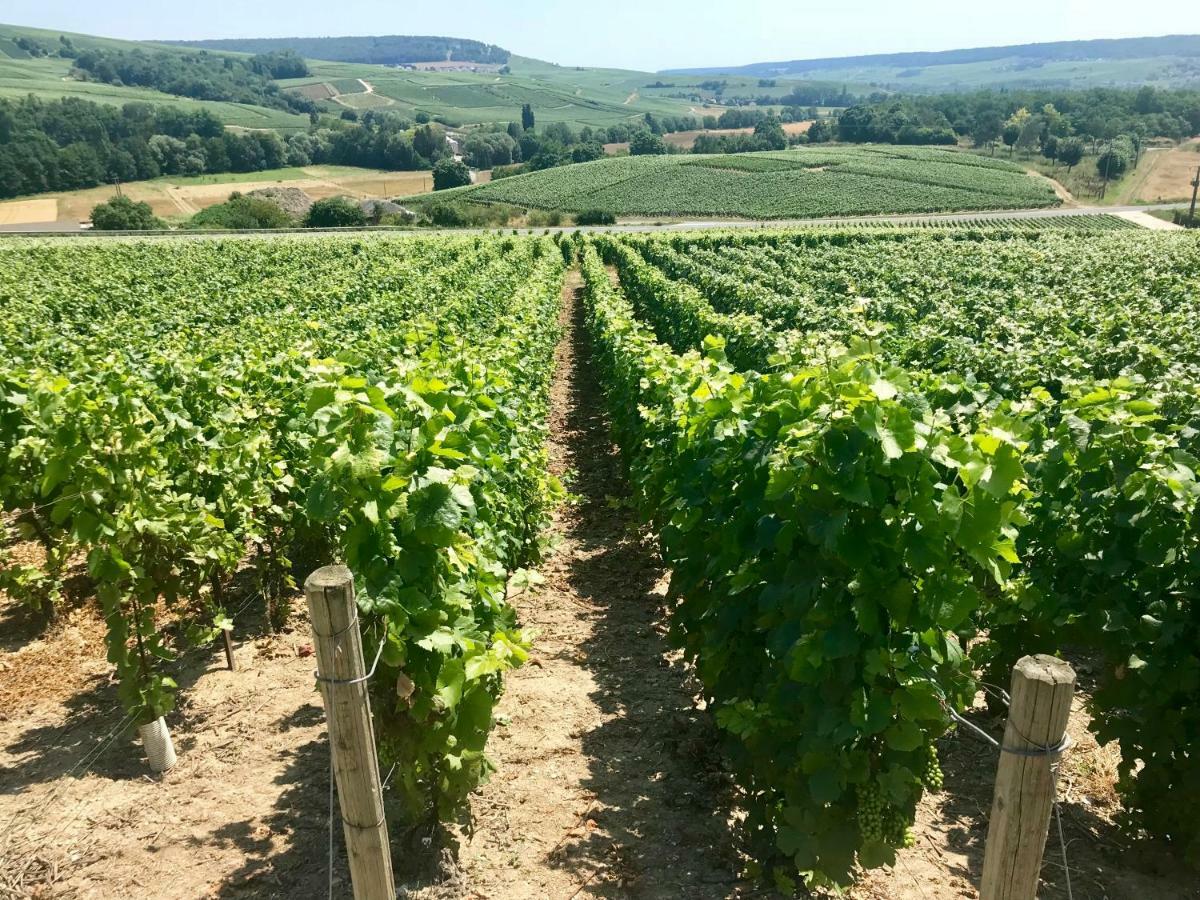La Bulle De Champagne Διαμέρισμα Επερνέ Εξωτερικό φωτογραφία